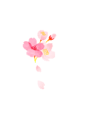 百日策马闯雄关 不负韶华战中考——惠阳华附2026届中考百日誓师大会圆满举行 第13张