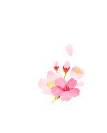 百日策马闯雄关 不负韶华战中考——惠阳华附2026届中考百日誓师大会圆满举行 第30张