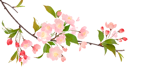 百日策马闯雄关 不负韶华战中考——惠阳华附2026届中考百日誓师大会圆满举行 第40张