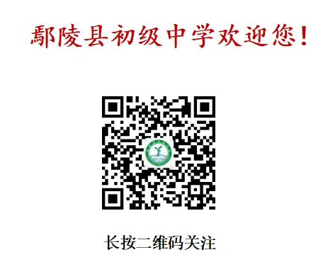 【培训】研备中考明方向 凝心聚力促提升 —— 鄢陵县初级中学九年级教师2026届备考专题培训纪实 第31张