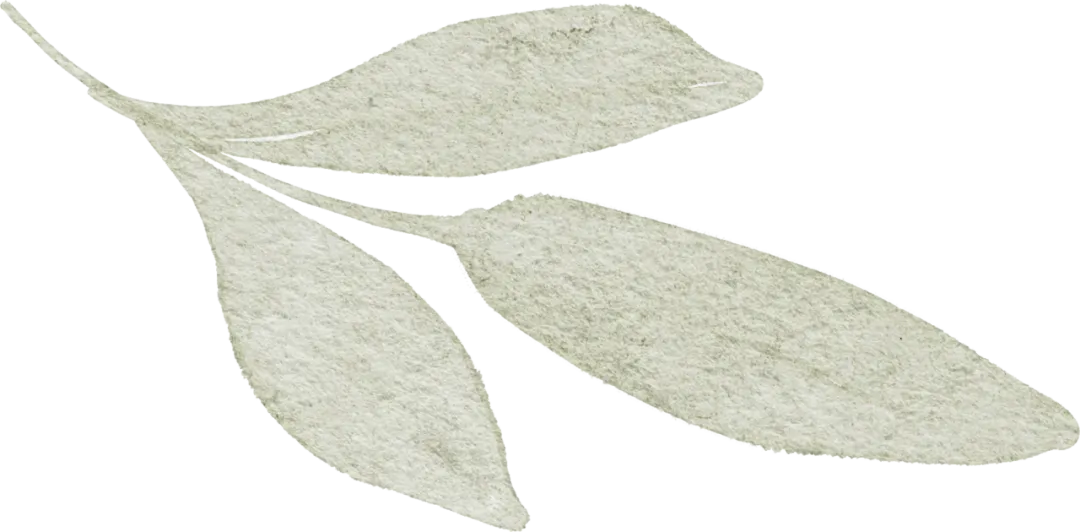 2026年应该是这几年杭州中考志愿最好填的一年之历届中考志愿填报之人物画像篇 第14张