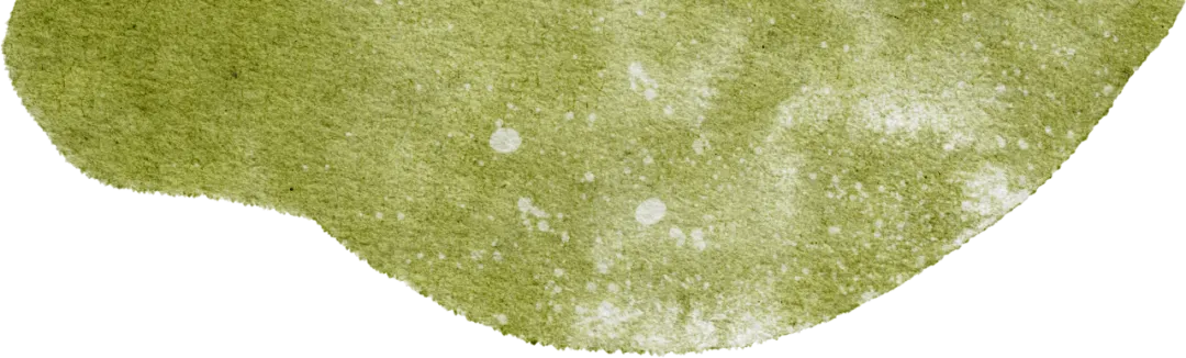 2026年应该是这几年杭州中考志愿最好填的一年之历届中考志愿填报之人物画像篇 第33张