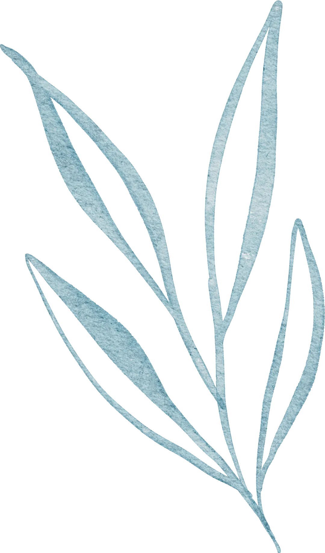 2026年应该是这几年杭州中考志愿最好填的一年之历届中考志愿填报之人物画像篇 第35张