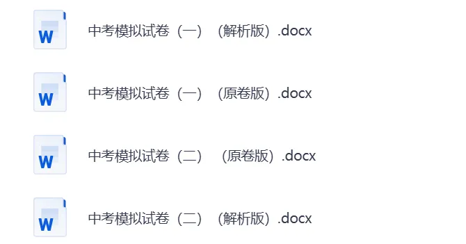 2026中考总复习语文专项集 | 可下载打印 第3张