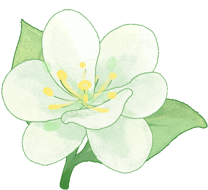 杏坛蓓言|十二名著·中考作文素材库(二) 第19张