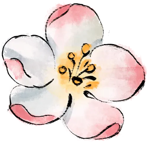 【中考语文复习】二轮专题集合 第4张