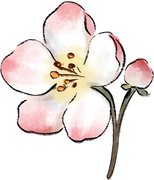 【中考语文复习】二轮专题集合 第6张