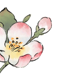 【中考语文复习】二轮专题集合 第7张