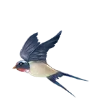 【中考语文复习】二轮专题集合 第8张