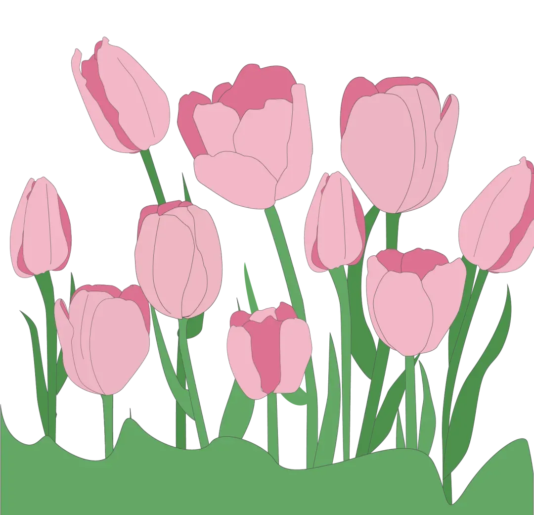 【中考语文复习】二轮专题集合 第12张