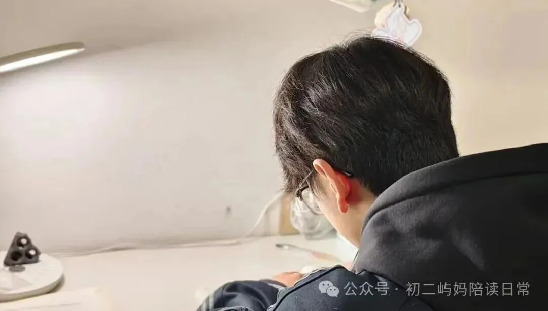 中考改革落地:当“刷题”失效,如何帮孩子找到新赛道? 第3张