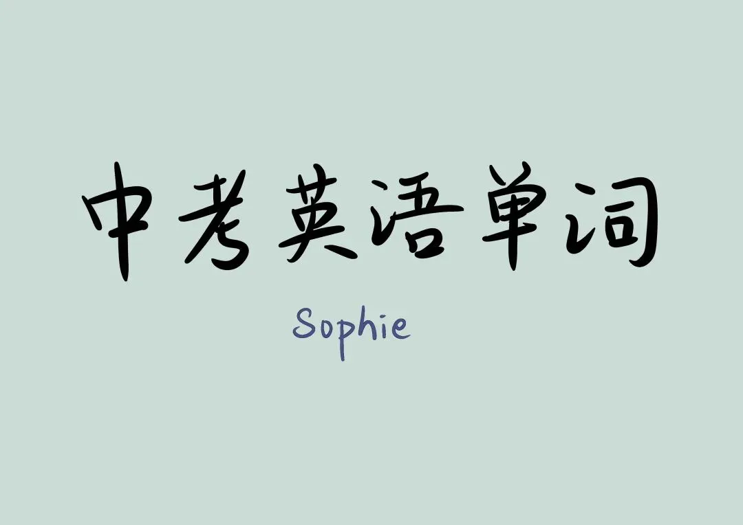 中考必背单词Day 6 第1张