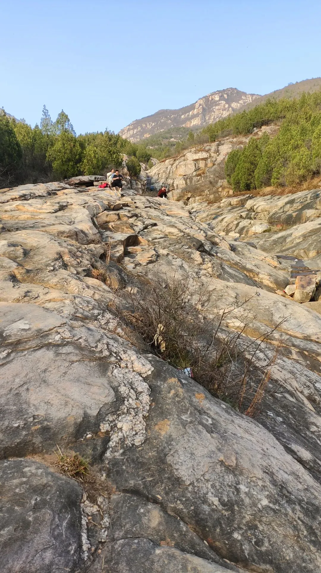 25-26河北石家庄高三3月检测数学试卷 第12张