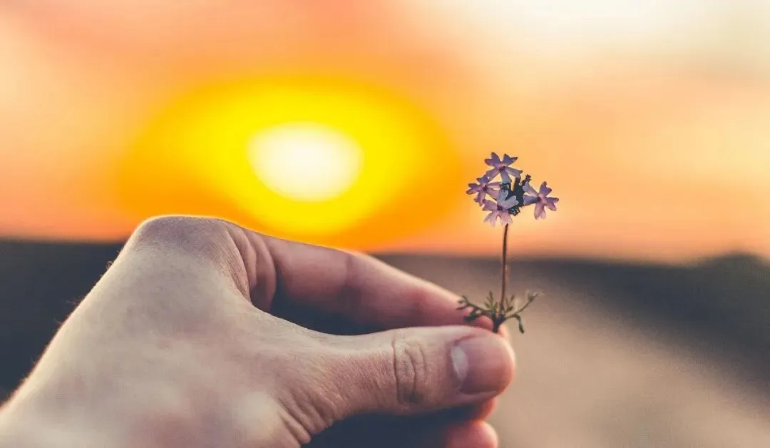 中考作文“成长感悟”怎么写?这篇《这一次,我放慢脚步》给了一个绝佳答案 第1张