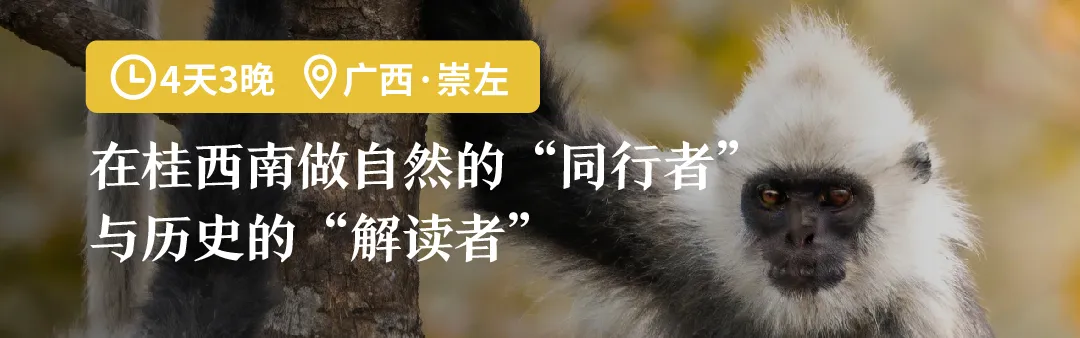 2026年佛山中考政策有变!新增“半费生”!能省多少钱? 第16张 2026年佛山中考政策有变!新增“半费生”!能省多少钱? 第16张