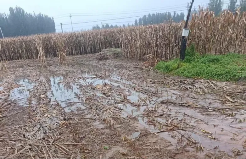 2026年地理中考热点(26)——烂秋雨 第1张