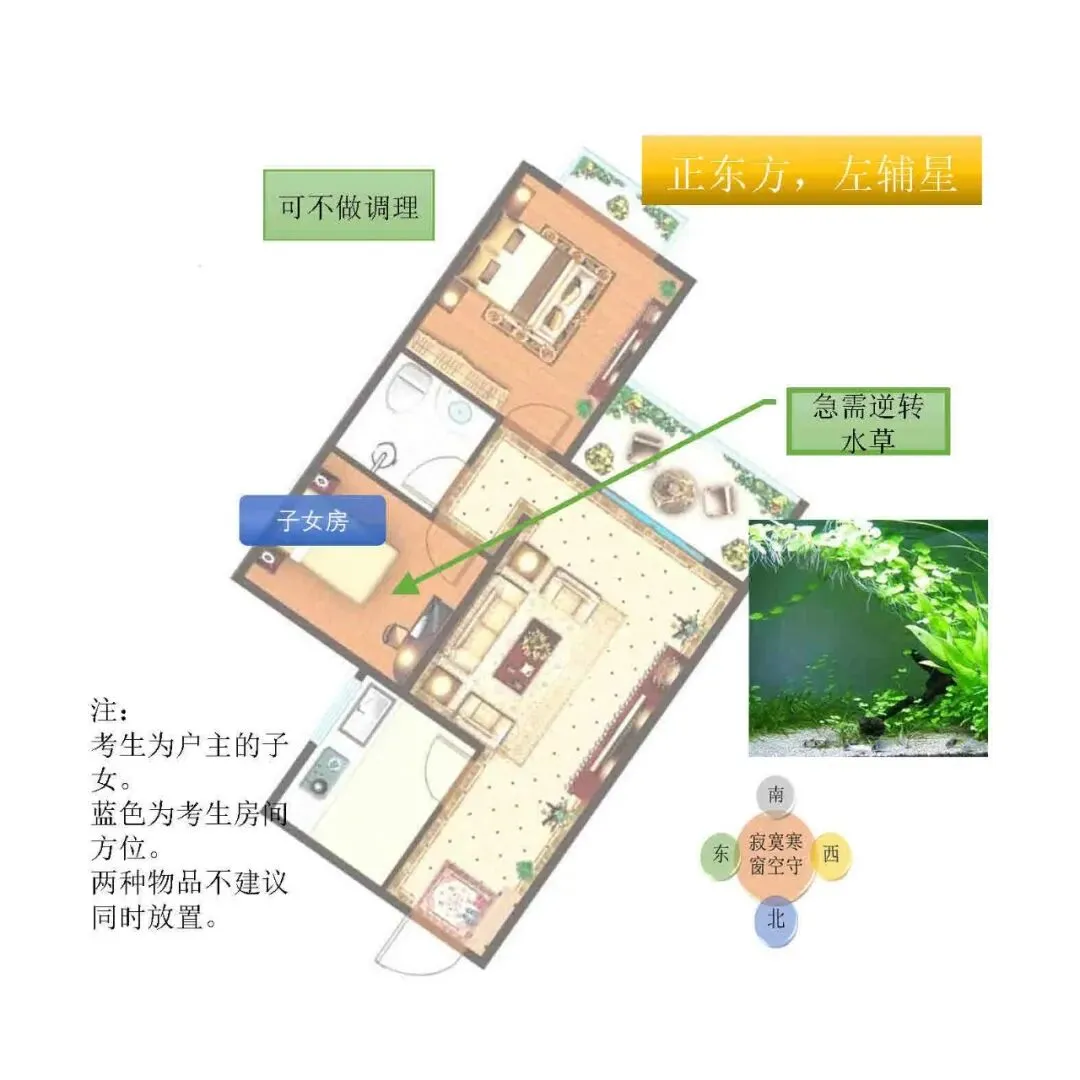 中考风水调理26年2:考前养气(全网首发) 第10张