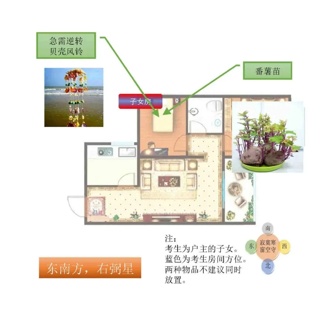 中考风水调理26年2:考前养气(全网首发) 第11张