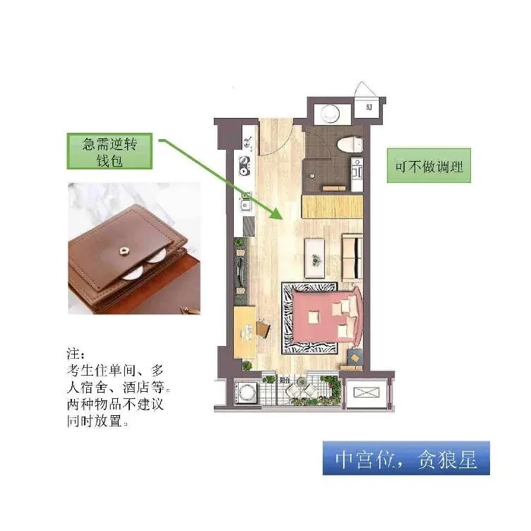 中考风水调理26年2:考前养气(全网首发) 第12张