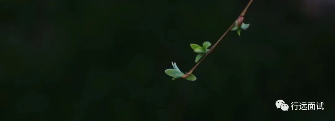 26真题【容缺办理】答题-逐字稿 第1张 26真题【容缺办理】答题-逐字稿 第1张