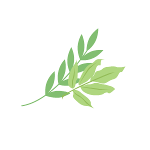 【家长课堂】中考倒计时:做孩子身后最安心的后盾 第13张