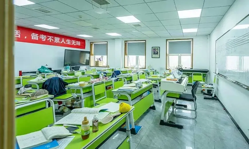 上海初三家长收藏:2026 上海中考备考规划与各区升学数据 第3张