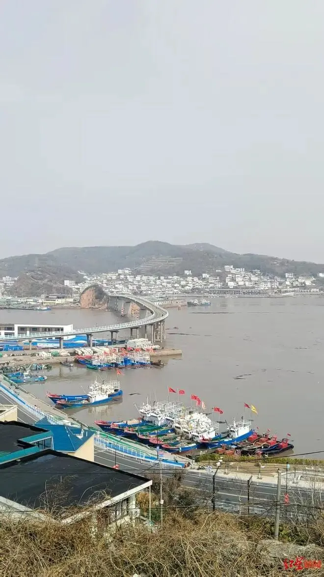 浙江海岛被指打响＂取消中考第一枪＂ 有学生心态松懈 第5张