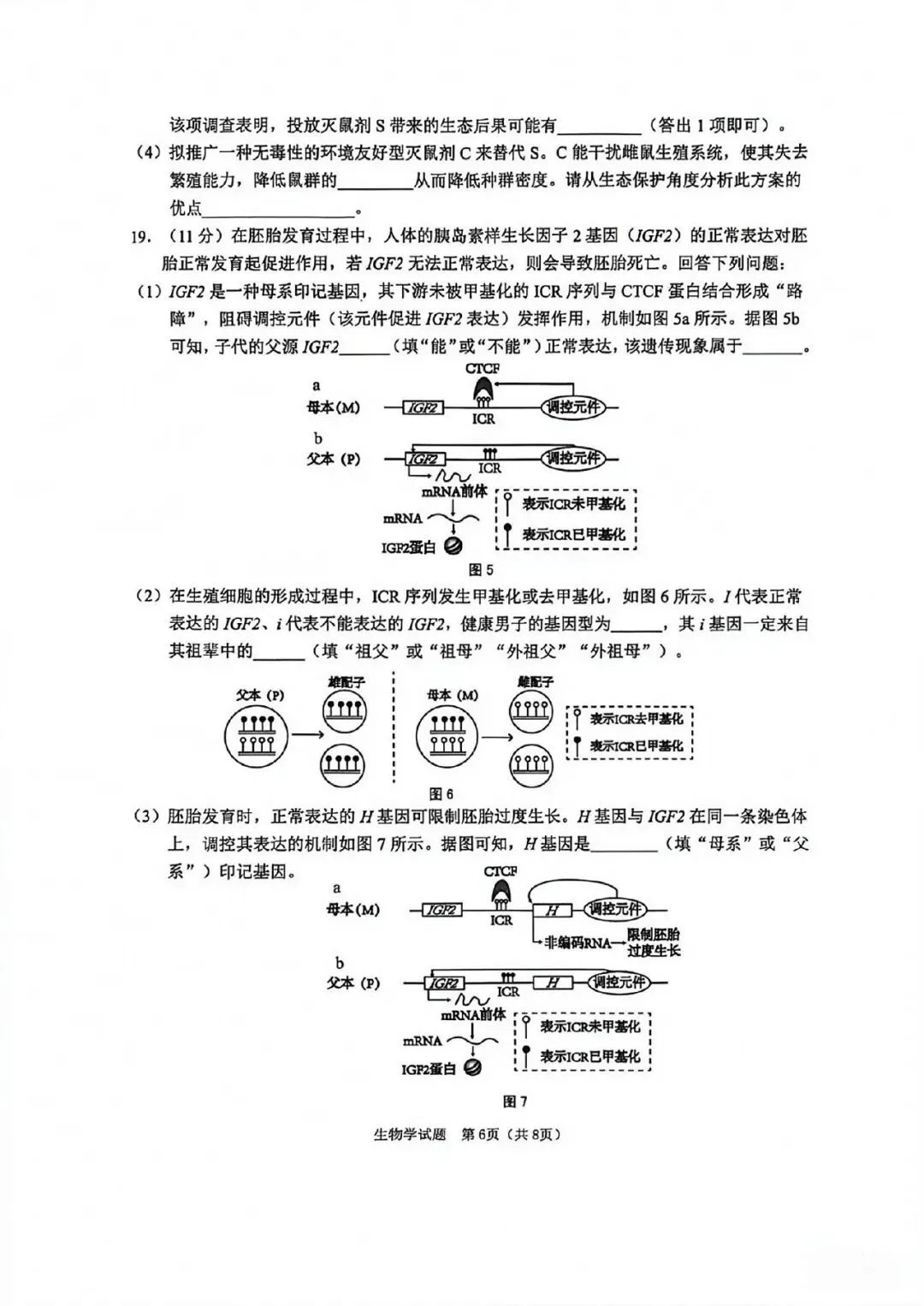 NO:1144M 2026届江门市高考模拟考试生物学试题和答案(2026江门一模) 第6张