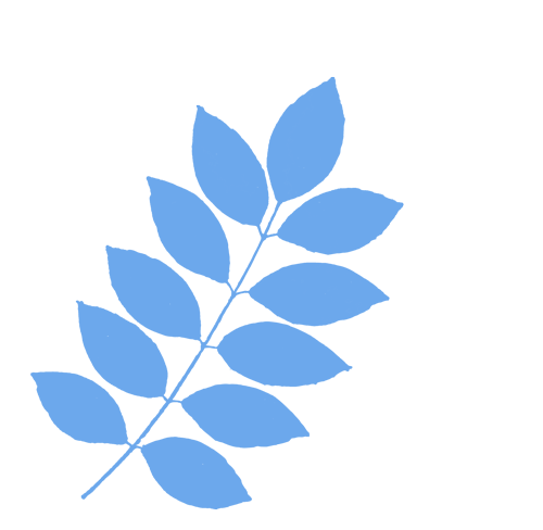 校本研修|研读真题 智用新材 ——南湖区英语教研员鲁凯老师莅临七星校区指导中考复习 第11张