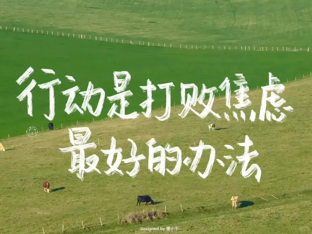 学霸分享:如何搞好中考语文 第12张