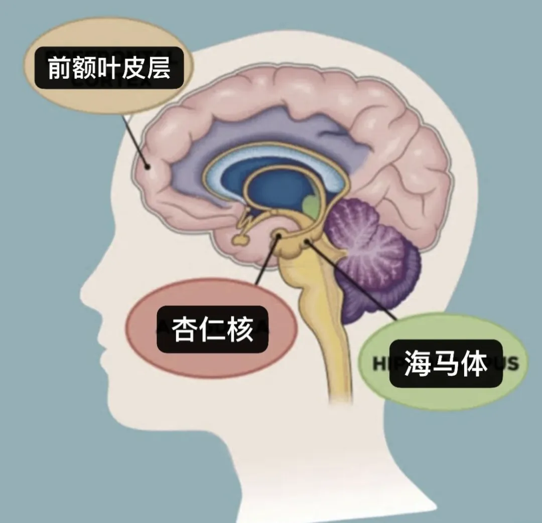 致敬张雪峰老师:中考高考冲刺,让孩子抱佛脚的机会来了~ 第3张