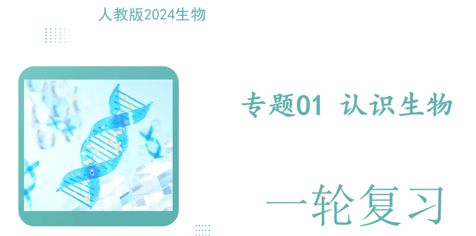 2026年中考(会考)生物第一轮复习专题PPT课件,打印一份吃透,考试拿高分! 第3张