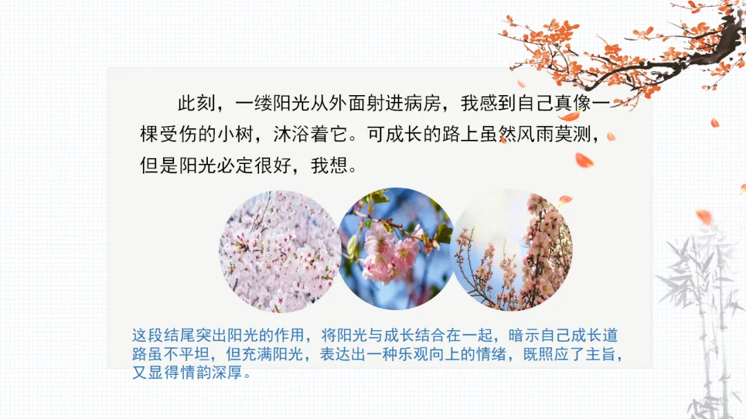 中考作文复习(六)结尾写作方法 第19张 中考作文复习(六)结尾写作方法 第19张