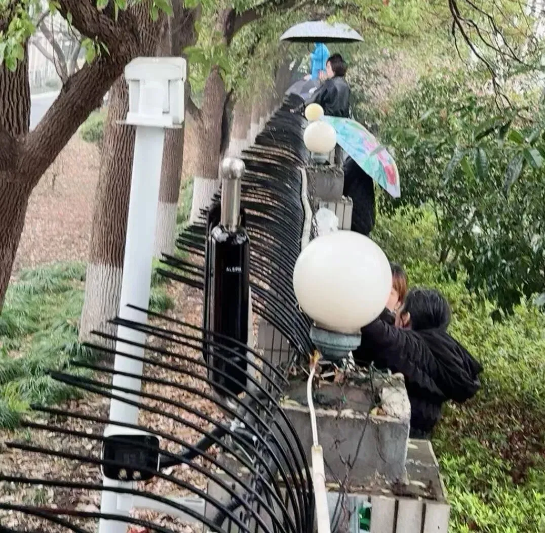 中考体育众生相 第1张