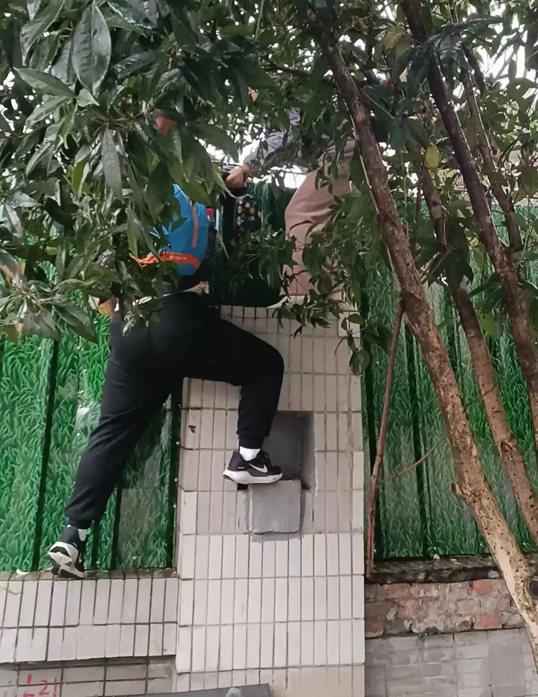 中考体育众生相 第2张