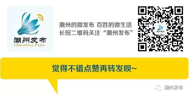 2026潮州中考体育考试细则出炉→ 第8张