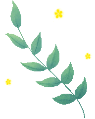 四级模考倒计时!考场须知+必备清单速看 第8张