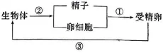 2026年河北省中学生生物学竞赛考试试卷 第11张