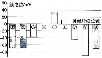 2026年河北省中学生生物学竞赛考试试卷 第20张