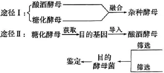 2026年河北省中学生生物学竞赛考试试卷 第30张