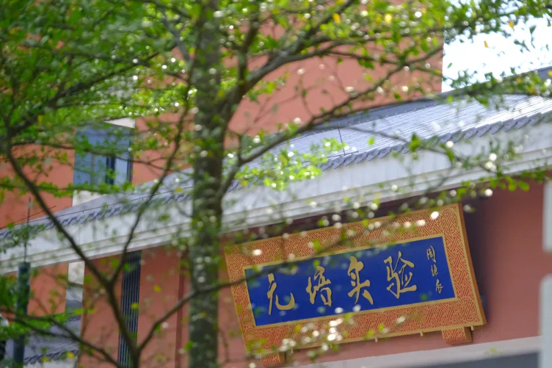 佛山市顺德区元培实验中学2025年中考志愿填报指南 第14张