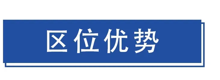 佛山市顺德区元培实验中学2025年中考志愿填报指南 第23张