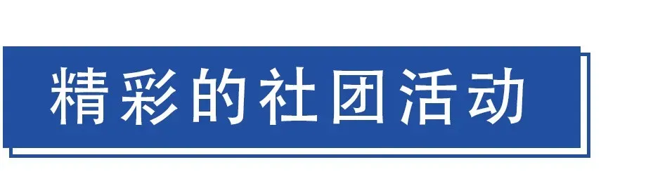 佛山市顺德区元培实验中学2025年中考志愿填报指南 第33张