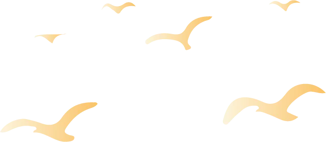 百日逐光,鼎湖为证,中考当歌 ——致恒润实验学校2026届初三学子 第9张 百日逐光,鼎湖为证,中考当歌 ——致恒润实验学校2026届初三学子 第9张