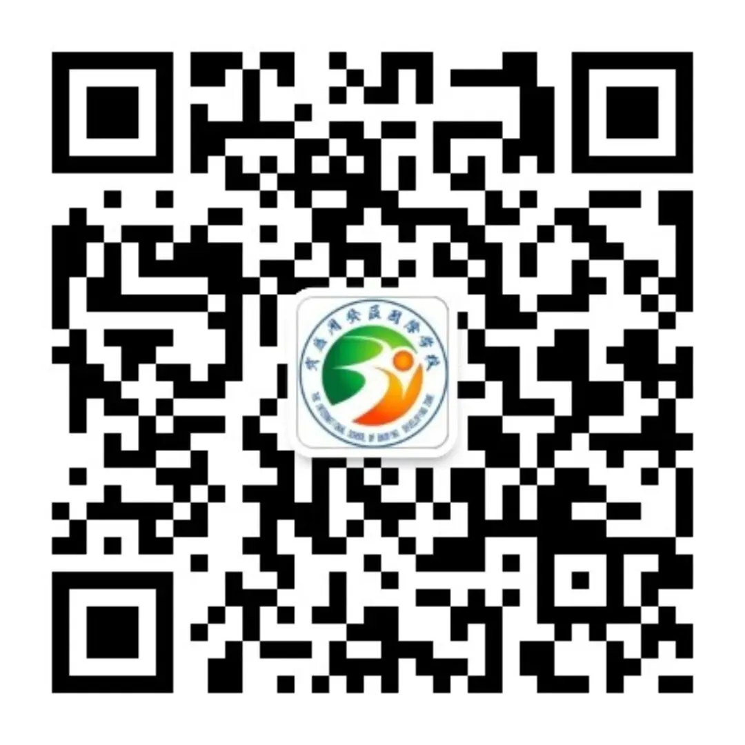 聚焦中考复习 提质增效——宝应县九年级数学教学研讨活动圆满举行 第19张