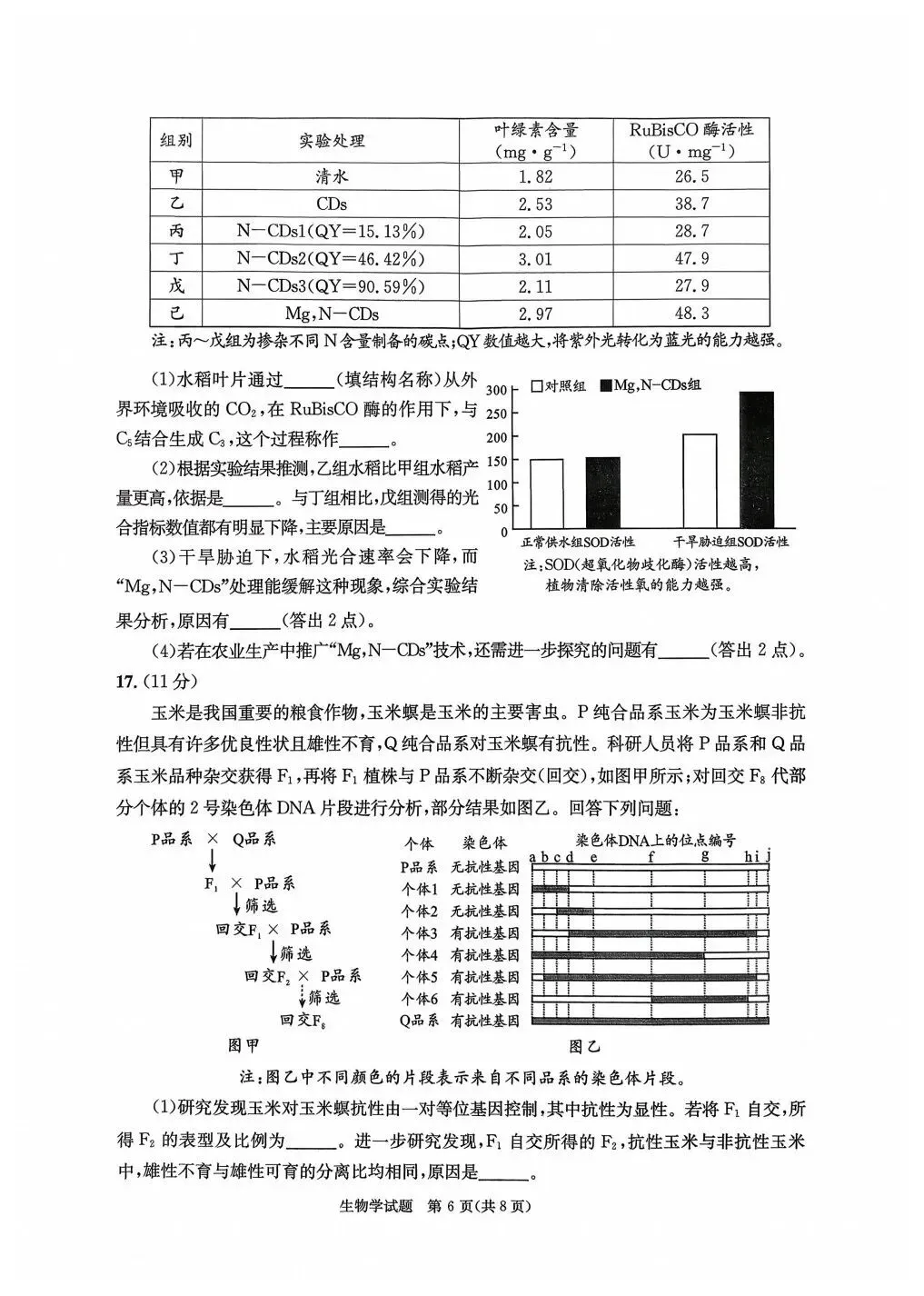 2026届成都高三二诊化学地理政治生物试卷及答案 第30张