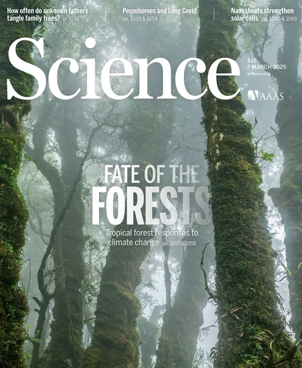 浙江中考倒计时!各科“抢分复习法”出炉,吃透这篇,多拿20+ 第17张