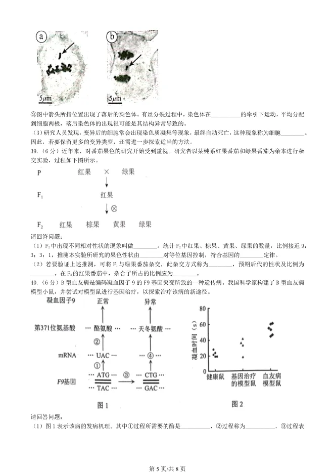 2023北京高中合格考生物试卷生物会考真题(第一次有答案)【可下载】 第5张