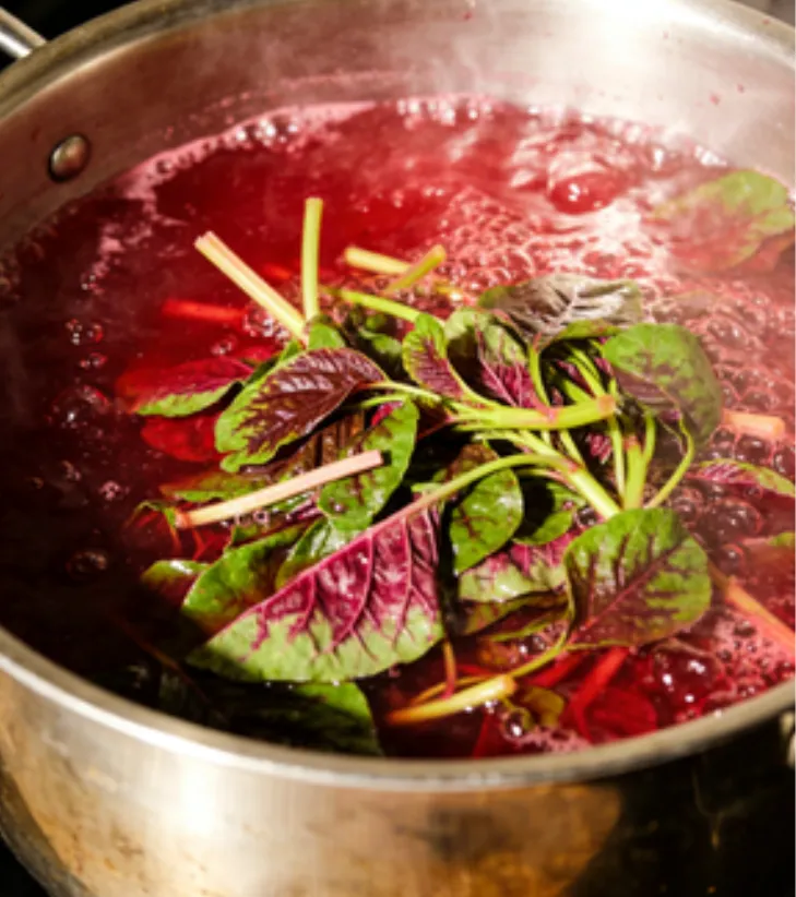 复习 ︳中考生物学情境素材复习建议——学习主题(一)生物体的结构层次 第2张