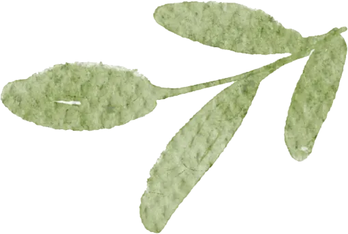 深耕历史课堂,赋能中考备考 第6张 深耕历史课堂,赋能中考备考 第6张